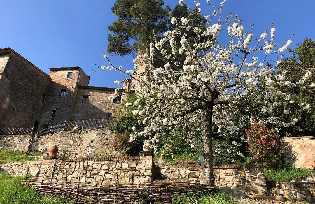 Lemon Tree Boutique Guest House-1